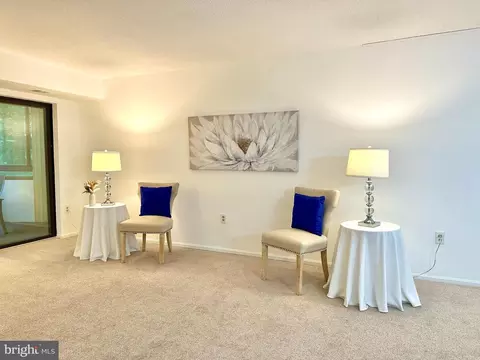 15100 Interlachen Dr #108, Silver Spring, MD 20906 photo 4