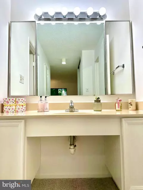 15100 Interlachen Dr #108, Silver Spring, MD 20906 photo 13