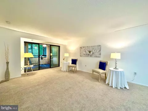15100 Interlachen Dr #108, Silver Spring, MD 20906 photo 8