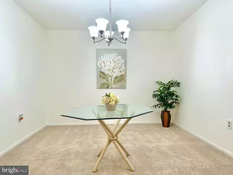 15100 Interlachen Dr #108, Silver Spring, MD 20906 photo 6