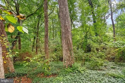 248 Whitmoor Ter, Silver Spring, MD 20901 photo 33