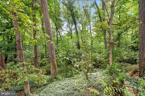 248 Whitmoor Ter, Silver Spring, MD 20901 photo 32