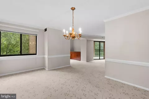15107 Interlachen Dr #2-418, Silver Spring, MD 20906 photo 14
