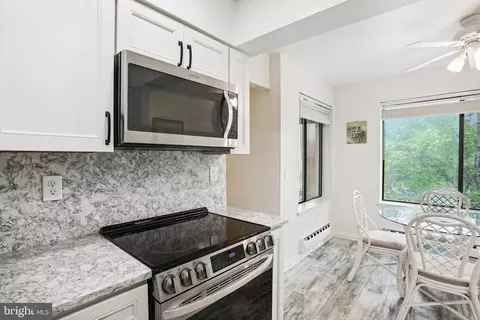 15320 Pine Orchard Dr #83-3D, Silver Spring, MD 20906 photo 15