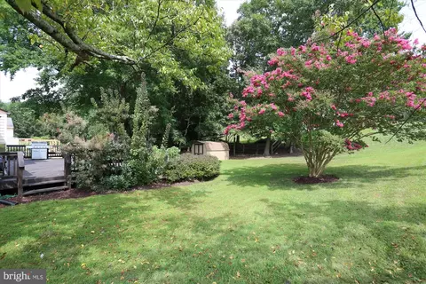 14201 Piccadilly Rd, Silver Spring, MD 20906 photo 10