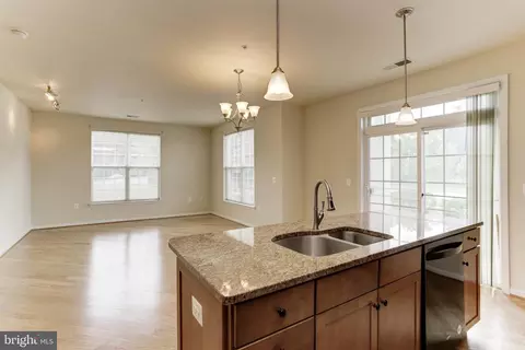 3850 Clara Downey Ave #13, Silver Spring, MD 20906 photo 10
