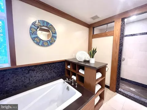 1118 Dale Dr, Silver Spring, MD 20910 photo 68