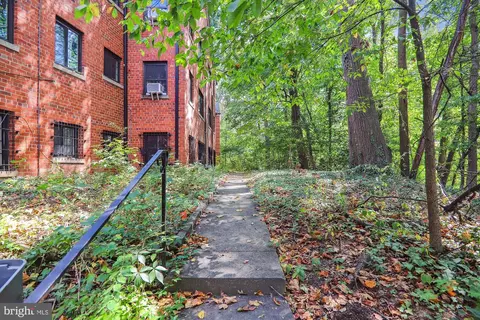 8722 Manchester Rd #1, Silver Spring, MD 20901 photo 20