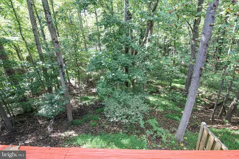 14212 Long Green Dr, Silver Spring, MD 20906 photo 19