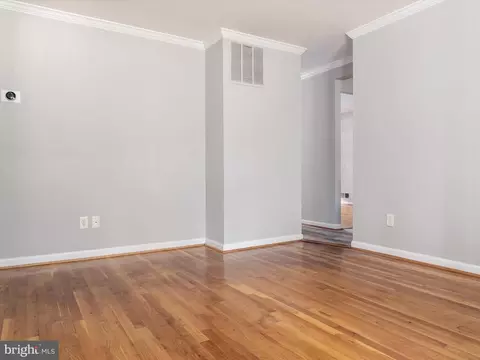 806 Downs Dr, Silver Spring, MD 20904 photo 10