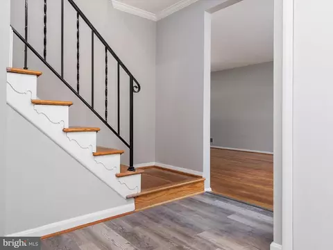 806 Downs Dr, Silver Spring, MD 20904 photo 7