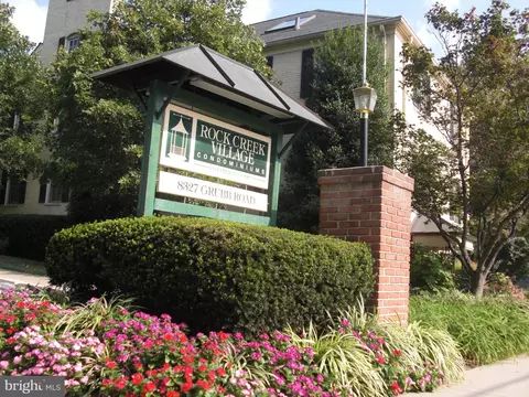 2302 Colston Dr #2302-C, Silver Spring, MD 20910 photo 23