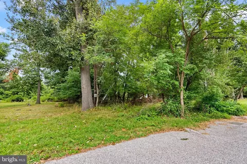 12211 Cherry Hill Rd, Silver Spring, MD 20904 photo 6