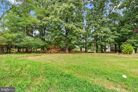 12211 Cherry Hill Rd, Silver Spring, MD 20904 photo 3