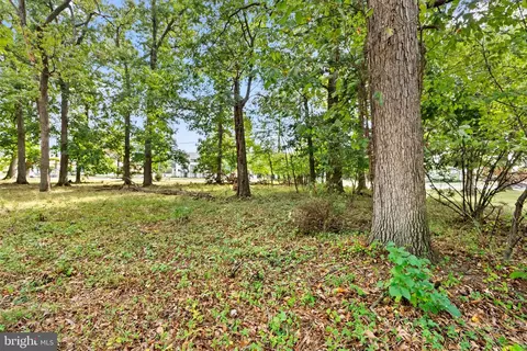 12211 Cherry Hill Rd, Silver Spring, MD 20904 photo 21