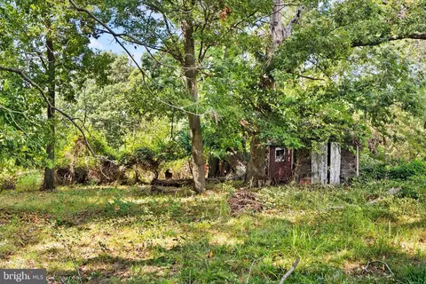 12211 Cherry Hill Rd, Silver Spring, MD 20904 photo 27