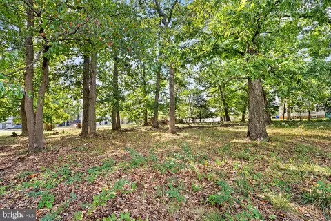 12211 Cherry Hill Rd, Silver Spring, MD 20904 photo 25