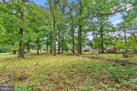12211 Cherry Hill Rd, Silver Spring, MD 20904 photo 10