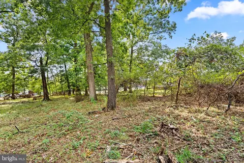 12211 Cherry Hill Rd, Silver Spring, MD 20904 photo 23