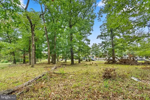 12211 Cherry Hill Rd, Silver Spring, MD 20904 photo 9