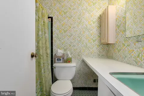 3916 Wendy Ln, Silver Spring, MD 20906 photo 35