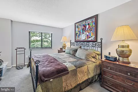 15100 Interlachen Dr #4-224, Silver Spring, MD 20906 photo 29