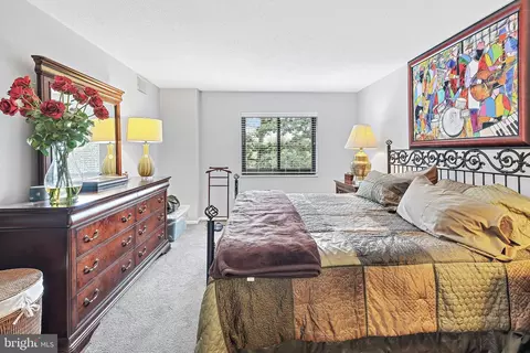 15100 Interlachen Dr #4-224, Silver Spring, MD 20906 photo 28