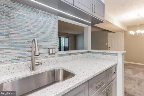 1605 Carriage House Ter #1605-E, Silver Spring, MD 20904 photo 5