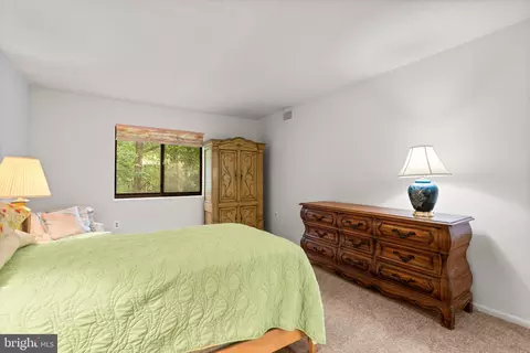 15100 Interlachen Dr #4-314, Silver Spring, MD 20906 photo 24