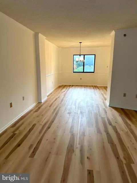 15101 Interlachen Dr #1-226, Silver Spring, MD 20906 photo 13