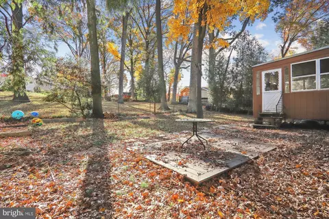 816 Orange Dr, Silver Spring, MD 20901 photo 4