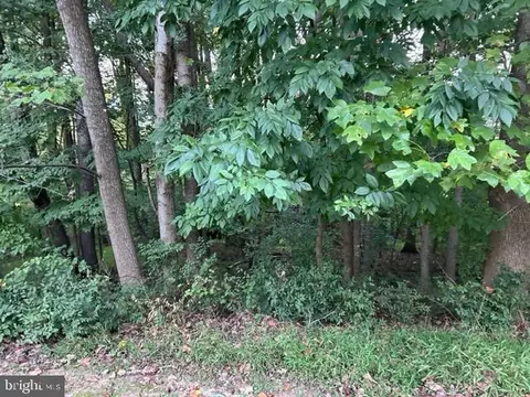 13225 Osterport Dr, Silver Spring, MD 20906 photo 55