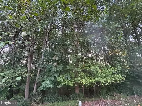 13225 Osterport Dr, Silver Spring, MD 20906 photo 54