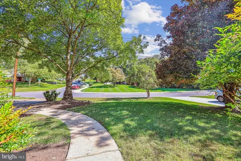 11616 Lovejoy St, Silver Spring, MD 20902 photo 4