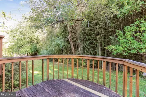 816 Olive Dr, Silver Spring, MD 20905 photo 31