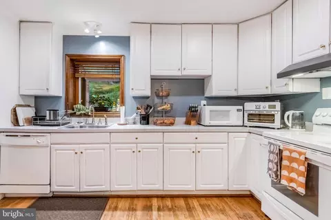 10411 Greenacres Dr, Silver Spring, MD 20903 photo 4