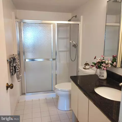 Bath - 15115 Interlachen Dr #3-1010, Silver Spring, MD 20906 photo 1 of 2