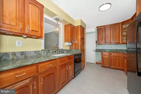 10115 Grant Ave, Silver Spring, MD 20910 photo 10