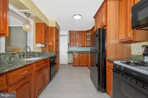 10115 Grant Ave, Silver Spring, MD 20910 photo 9