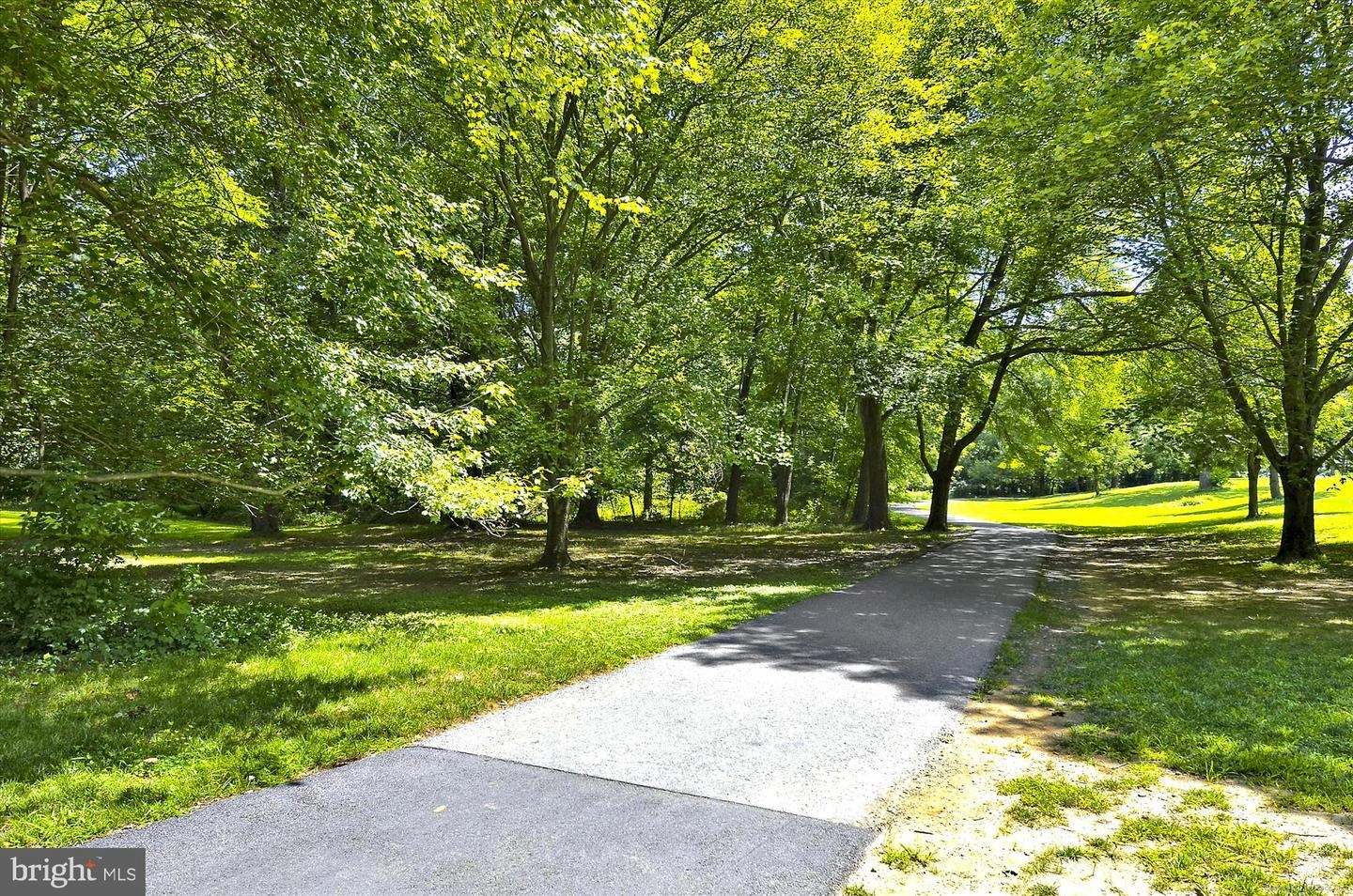 2735 Linden Ln, Silver Spring, MD 20910 photo 72