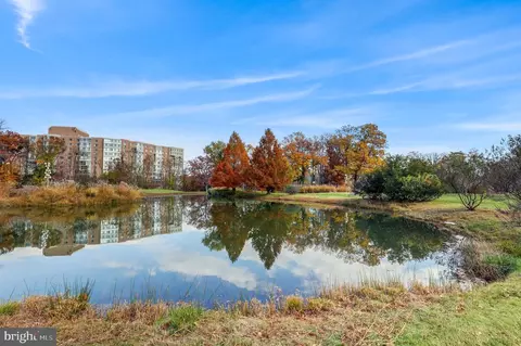 15115 Interlachen Dr #3-724, Silver Spring, MD 20906 photo 66