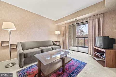 15100 Interlachen Dr #4-426, Silver Spring, MD 20906 photo 12
