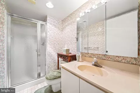 15100 Interlachen Dr #4-426, Silver Spring, MD 20906 photo 14