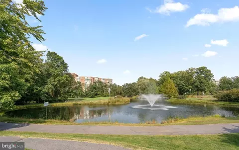 15100 Interlachen Dr #4-426, Silver Spring, MD 20906 photo 37