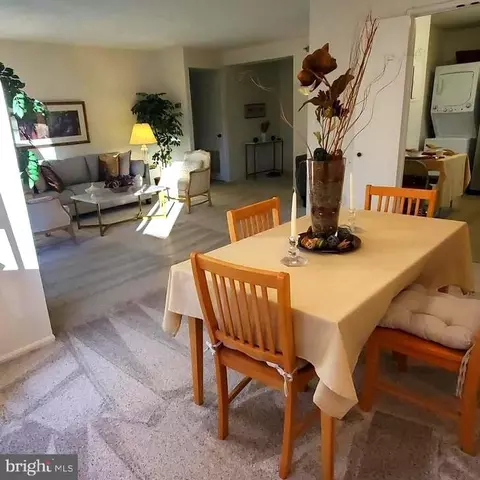 15115 Interlachen Dr #3-102, Silver Spring, MD 20906 photo 8