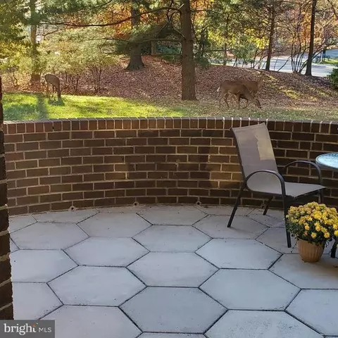 15115 Interlachen Dr #3-102, Silver Spring, MD 20906 photo 31
