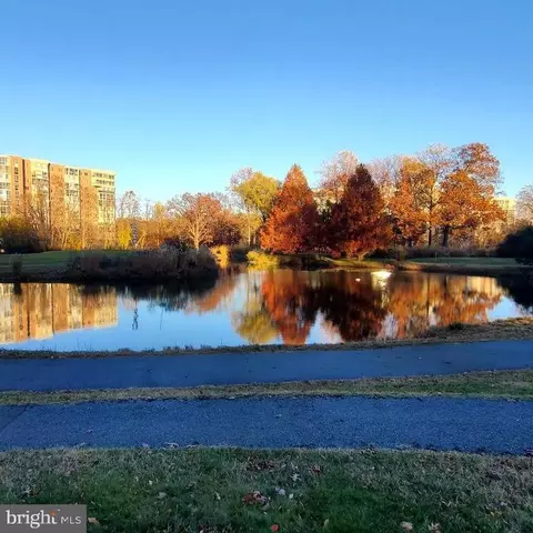 15115 Interlachen Dr #3-102, Silver Spring, MD 20906 photo 33