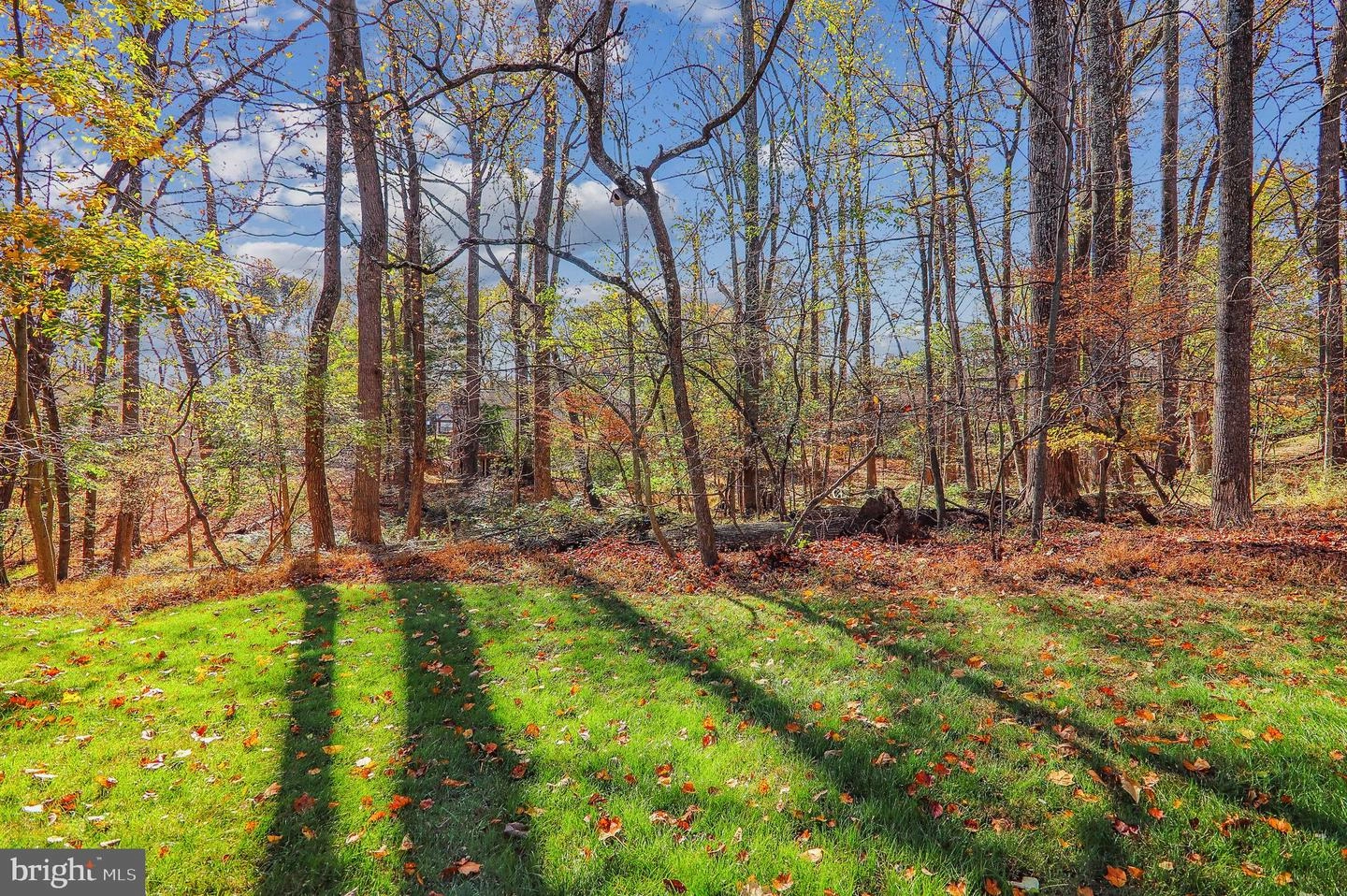 1511 Hugo Cir, Silver Spring, MD 20906 photo 29