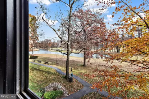 View/Area - 15107 Interlachen Dr #2-316, Silver Spring, MD 20906 photo 3 of 4
