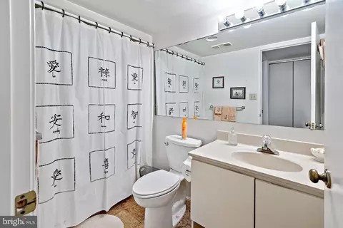 15101 Interlachen Dr #1-1018, Silver Spring, MD 20906 photo 4